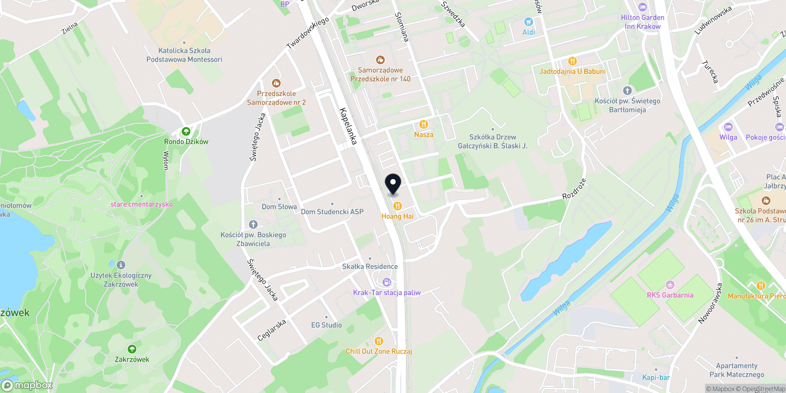 Mapa Olena Seniv Black Bee