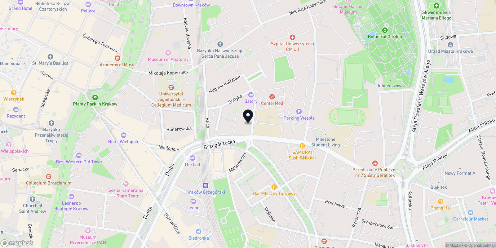Mapa Functional Gym Fizjoterapia Trening Medyczny Masaż