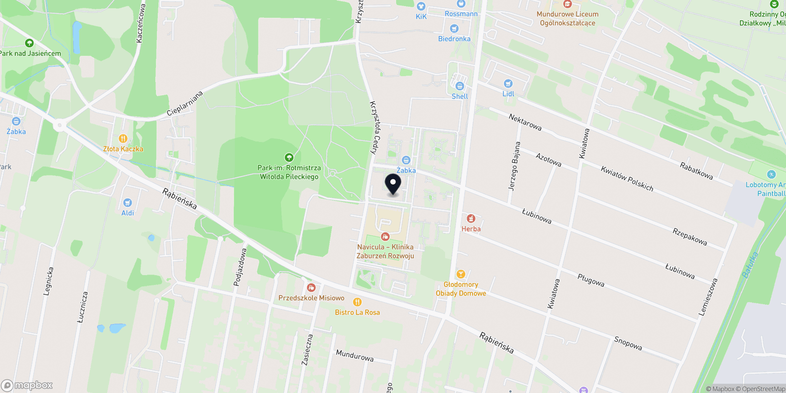 Mapa KOSMETYKA PROFESJONALNA