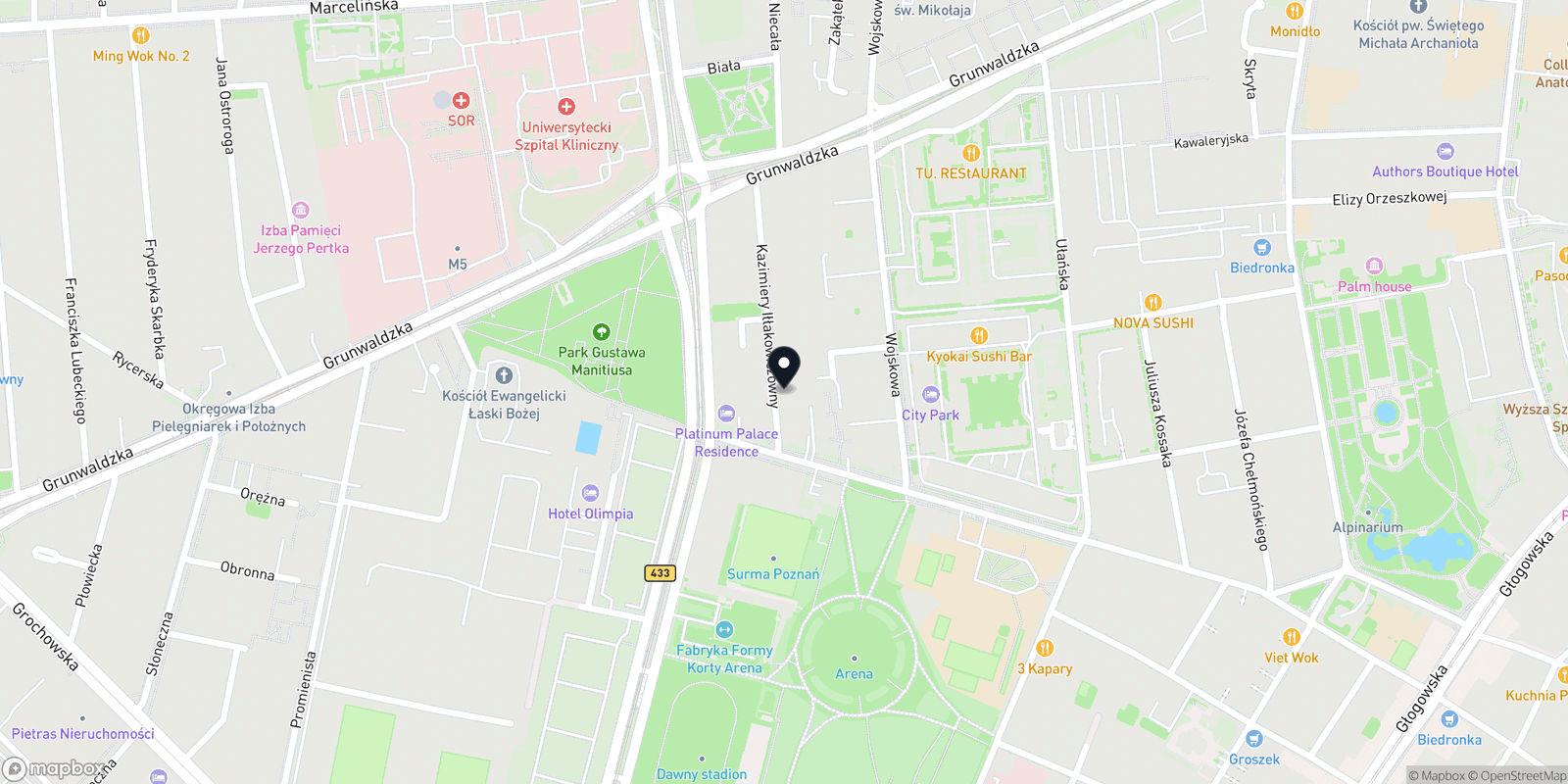 Mapa Joy Clinic Alina Labunets